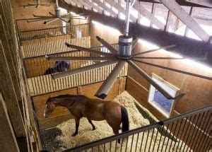 The light can be above the fan or below the fan. Top 5 Best Horse Stall Fans for Barn 2020 Reviews | Horse ...