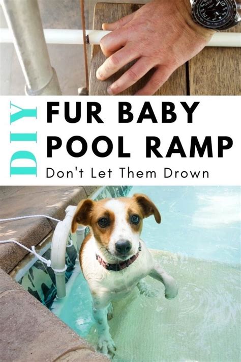 What is a pet ramp? DIY Dog Pool Ramp - Don't Let Them Drown | Dog pool, Dog pool ramp, Diy dog stuff