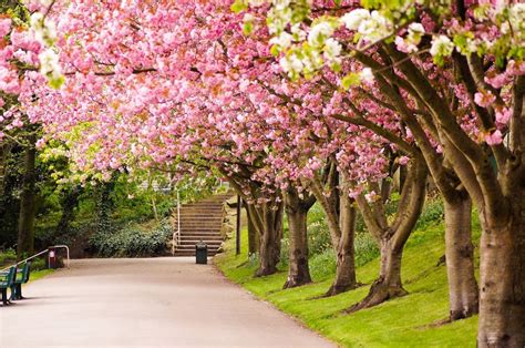 Spring England Wallpapers Wallpaper Cave