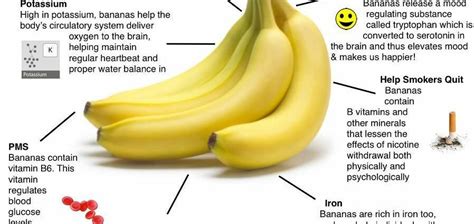 Eat Bananas The Incredible Health Benefits Of Bananas Healthy Food