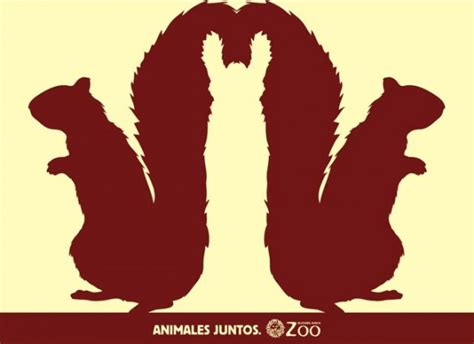 Buenos Aires Zoo Animal Optical Illusions