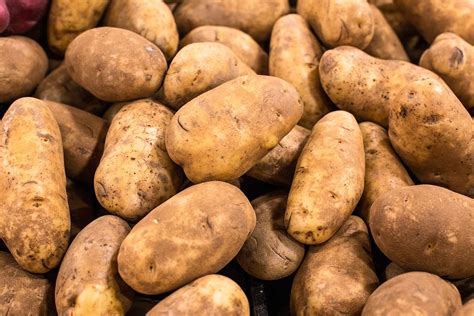 What Are Idaho Potatoes