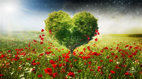 Home > love wallpapers > page 1. Green Love Heart Tree Poppies Wallpapers | HD Wallpapers ...