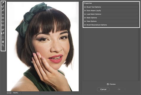 How To Use The Liquify Tool In Photoshop