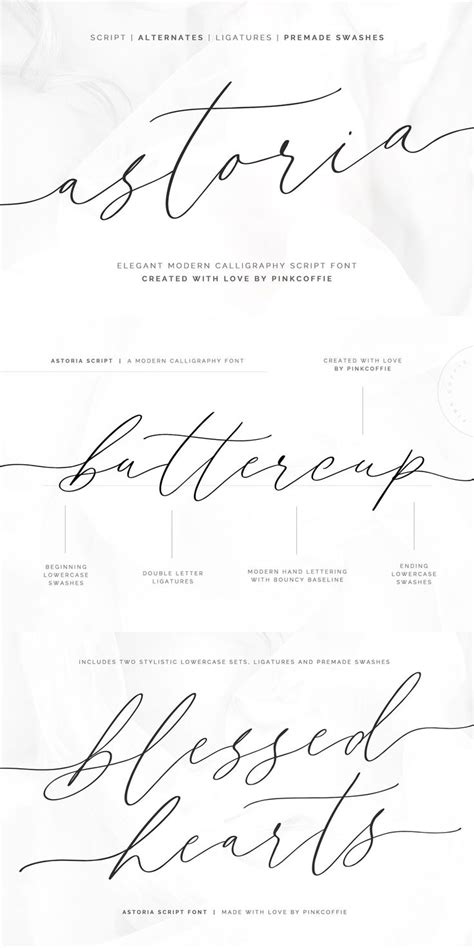Calligraphy Font Wedding Font Script Font Font Download Signature