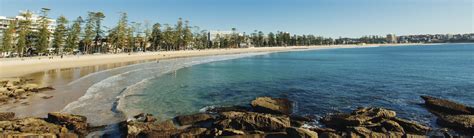 Manly Beach Surfing Fishing And Swimming Official