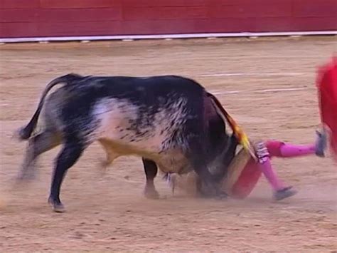 Bullfighter Killed By Bull During Fight In Spain For The First Time In