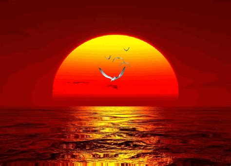 Sunset Click Here Media Photobucket Com Image Animated Nature