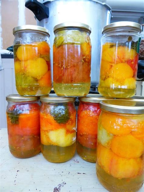 9 AOUT conserves de tomates au naturel PASSION POTAGER