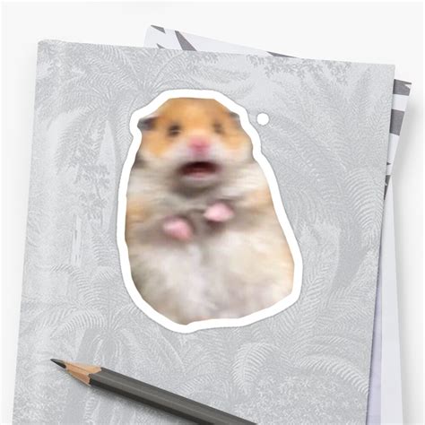 Scared Hamster Meme Sticker By Taylorrsheetss Redbubble