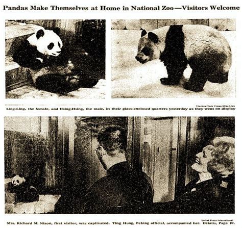 A Brief History Of Panda Diplomacy The New York Times