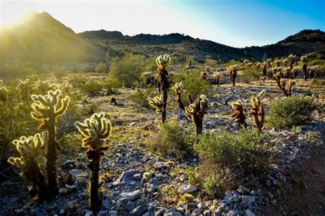 Visit The Phoenix Mountains Preserve Lost In Phoenix