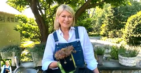 Martha Stewart Talks About Her New Hgtv Show And That Sultry Pool Selfie