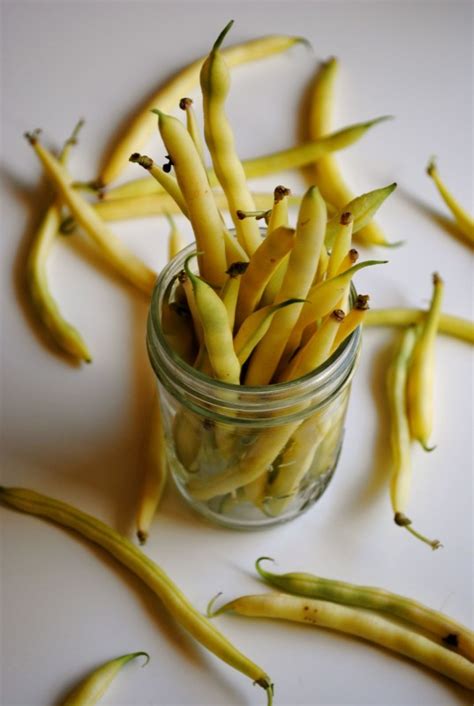 Green beans (as well as yellow wax beans) may be pickled, canned, frozen and dehydrated with excellent results. Indian-Spiced Yellow Wax Beans with Black Quinoa | Bev Cooks