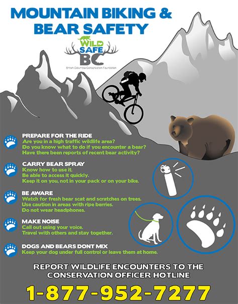 Bear Safety Tips For Backcountry Trail Users From Wildsafebc Columbia