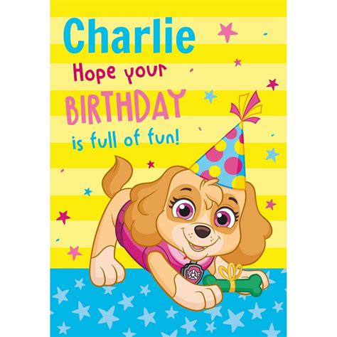 Personalised Paw Patrol Skye Birthday Card Any Name Danilo Promotions