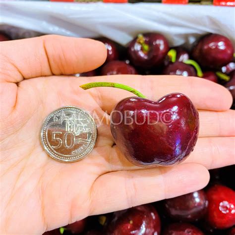 Australian Wandin Valley Farms Chelan Red Cherry 2kg Box — Momobud