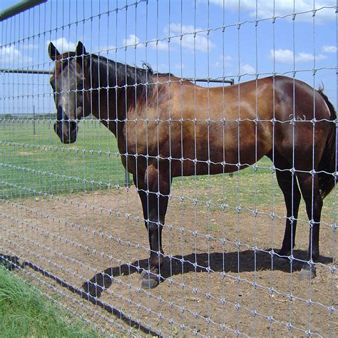 Horse Tuff Fixed Knot Fence The Superior Horse Fence Stay Tuff