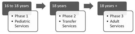 Three Phases Of The Lifespan Model Of Linked Health Care Download