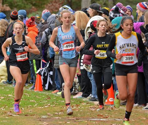 Prep Cross Country Wisconsin Dells Takes Second At Wiaa State