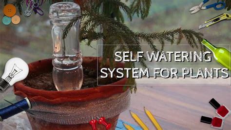 Daily Diy Home Self Watering System For Plants Youtube