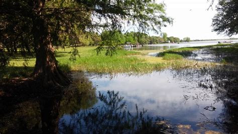 We did not find results for: Coleto Creek Nature Fest, by Christa Chagra | Lost Pines ...