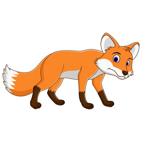 Photo et images libres de droits pour dessin animé mignon. Illustration De Dessin Animé Mignon De Renard Isolé | Vecteur Premium