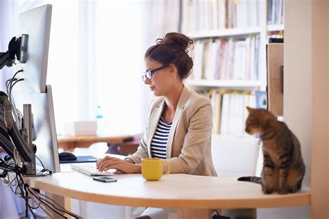 Easy Work-From-Home Computer Jobs" /></a></br><br />	<p>Easy Work-From-Home Computer Jobs</p> </br><br />	<a href="https://i.ytimg.com/vi/aKFx_oby_64/maxresdefault.jpg"><img src="https://tse3.mm.bing.net/th?id=OIP.jh9yYWreMxE20ntZOvZ-dAHaEK&pid=15.1" alt=