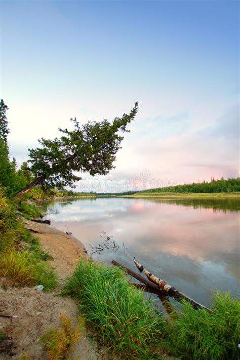 Northern Siberian River In Summer Stock Image Image Of Birch