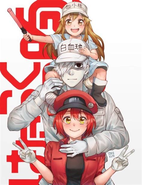 Pin On Red Blood Cell And White Blood Cell Ae3803 X U1146 Hataraku