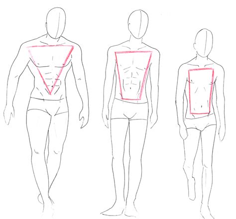 male body types reference ~ drawing human proportions lessons body face head figure figures