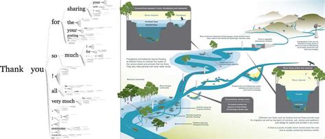 Understanding The River System A Comprehensive Diagram