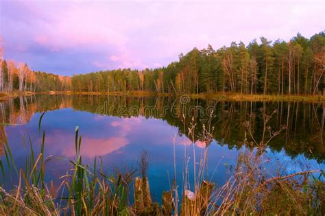 Beautiful Forest Lake At Amazing Sunrise Landscape Stock