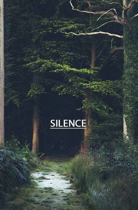 Silence In The Forest Ao Ar Livre Natureza Bela