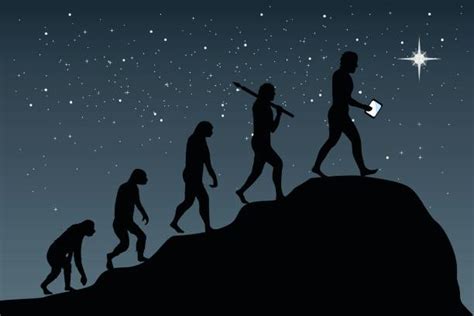 Best Human Evolution Illustrations Royalty Free Vector Graphics And Clip