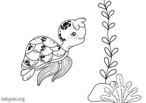 Free printable colouring pages of sea animals