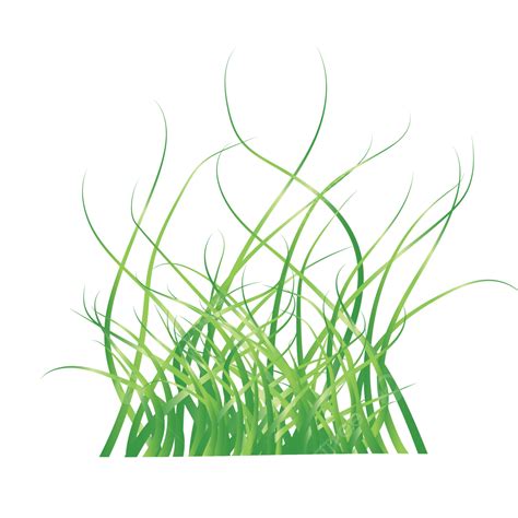 Long Grass Vector Art Png Cartoon Long Green Grass Png Green Grass