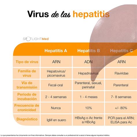 Spotlightmed Virus De Las Hepatitis 🧬 Spotlight