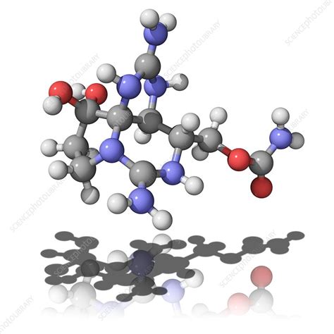 Saxitoxin Molecule Stock Image F0034918 Science Photo Library