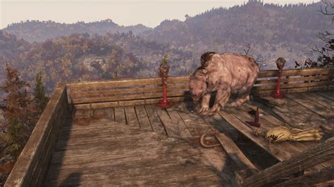 How To Find Yao Guai In Fallout 76 All Yao Guai Locations Gamepur