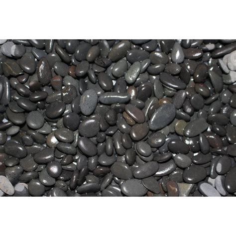 EXOTIC PEBBLES Natural Washed Black Gravel Black 20 Lb Chewy Com