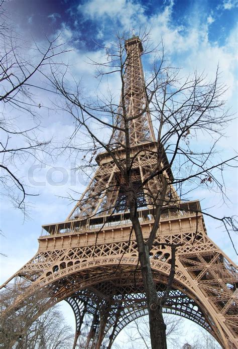 Eiffel Tower With Bare Tree Stock Image Colourbox