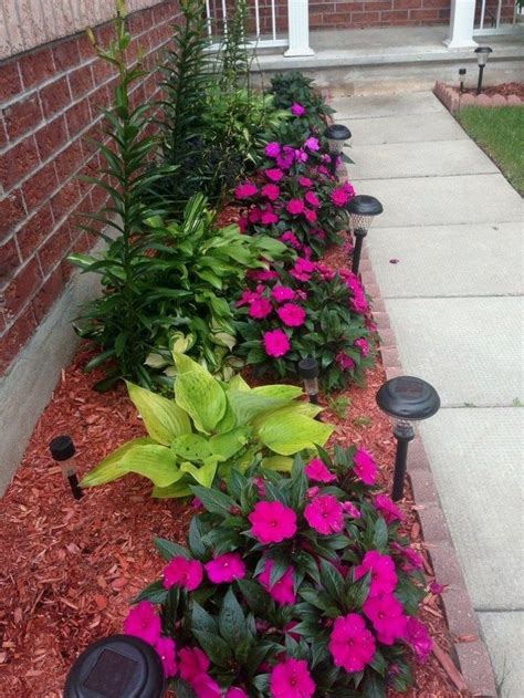 20 Flower Ideas For Front Yard