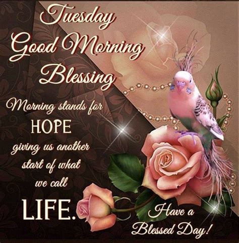 Blessed Tuesday Morning Quotes And Images