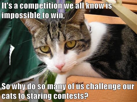 Its A Competition We All Know Is Impossible To Win So Why Do So Many