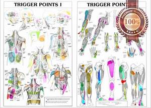 Trigger Points 1 2 Anatomical Diagram Guide Chart Anatomy Print Premium