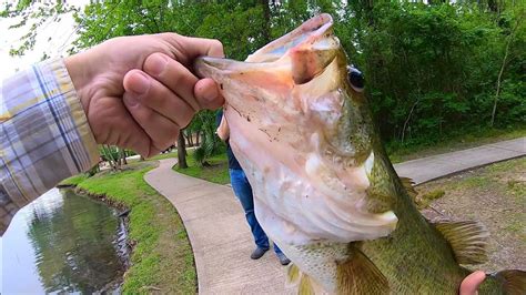 Sheldon Reservoir And Pond Bass Fishing April 10 2021 Youtube