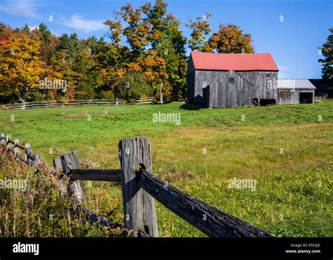 Colorful Autumn Trees Rural Barn And Weathered Fence In Vermont