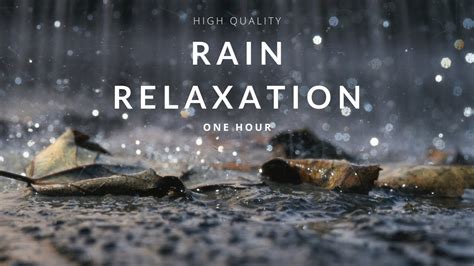 Thunder And Rain Relaxation 1 Hour High Quality Relaxing Sounds For Deep Sleep Meditation And