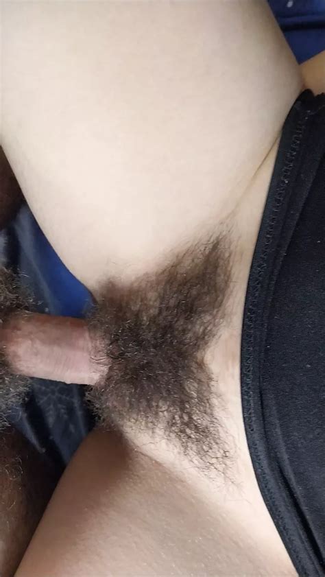 fucking my wife s super hairy pussy xhamster